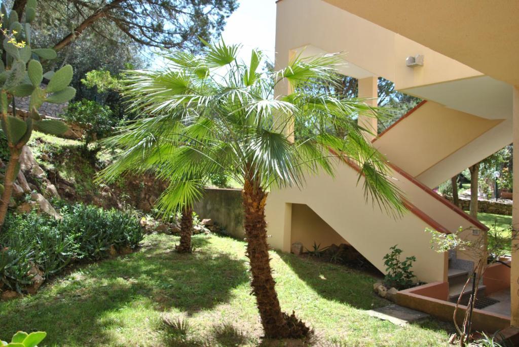 Aparthotel Sa Jaga Brujada Residence - Simar Vacanze Porto Rotondo